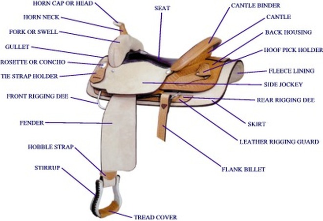 where to get saddle parts in westland survival
